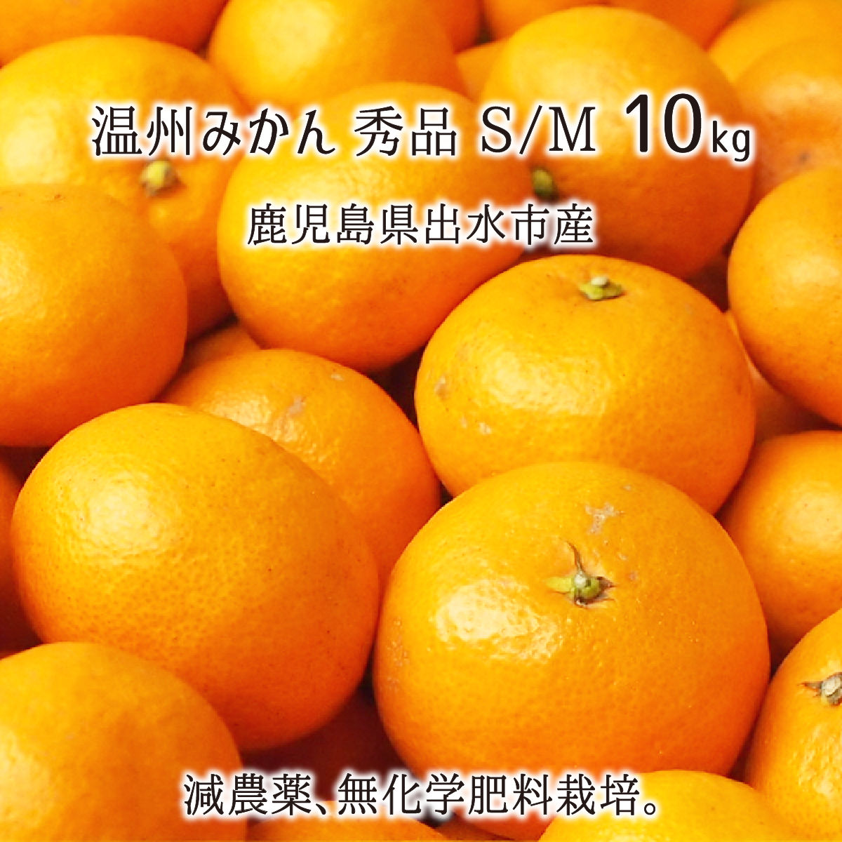 楽天市場 温州みかん 秀品 小玉 S 10kg 鹿児島県出水市産 減農薬 無化学肥料 特別栽培 ミカン 10月下旬 12月中旬 送料無料 産直 むすび