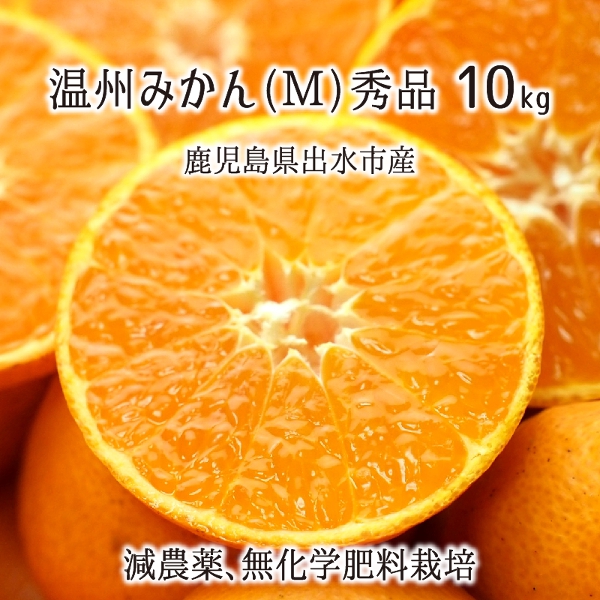 楽天市場 温州みかん 秀品 M 10kg 中玉 鹿児島県出水市産 減農薬 無化学肥料 特別栽培 10月上旬 12月中旬 送料無料 産直 むすび