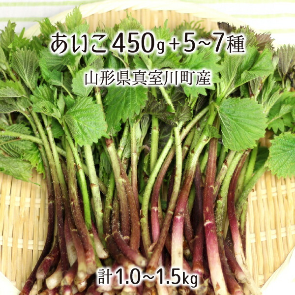 楽天市場 天然 あいこ 450g 山菜5 7種 合計1 0 1 5kg 山形県真室川町産 4月中旬 5月下旬 入山 採取日にチルド発送 送料無料 産直 むすび