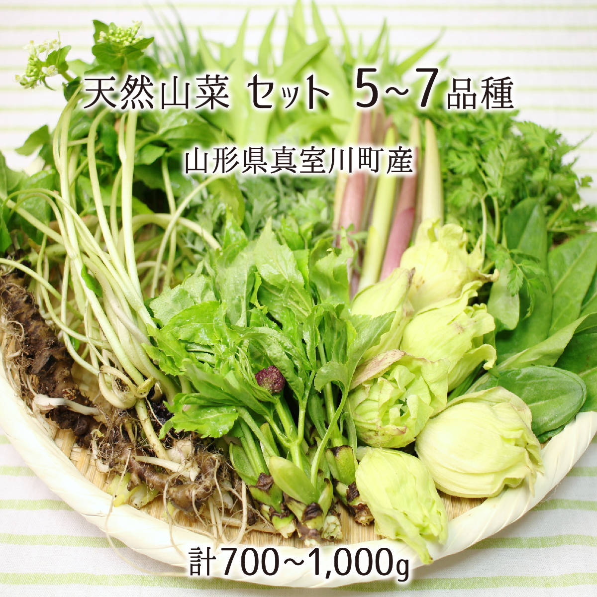 北海道　道北産　天然山菜セット（専用ページ）
