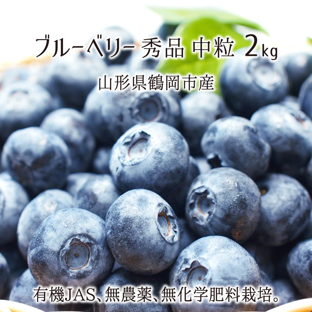 最大93 Offクーポン 生ブルーベリー 2kg 中粒 秀品 山形県鶴岡市羽黒産 有機jas 無農薬 無化学肥料 有機栽培 ハイブッシュ 6月下旬 7月中旬 送料無料