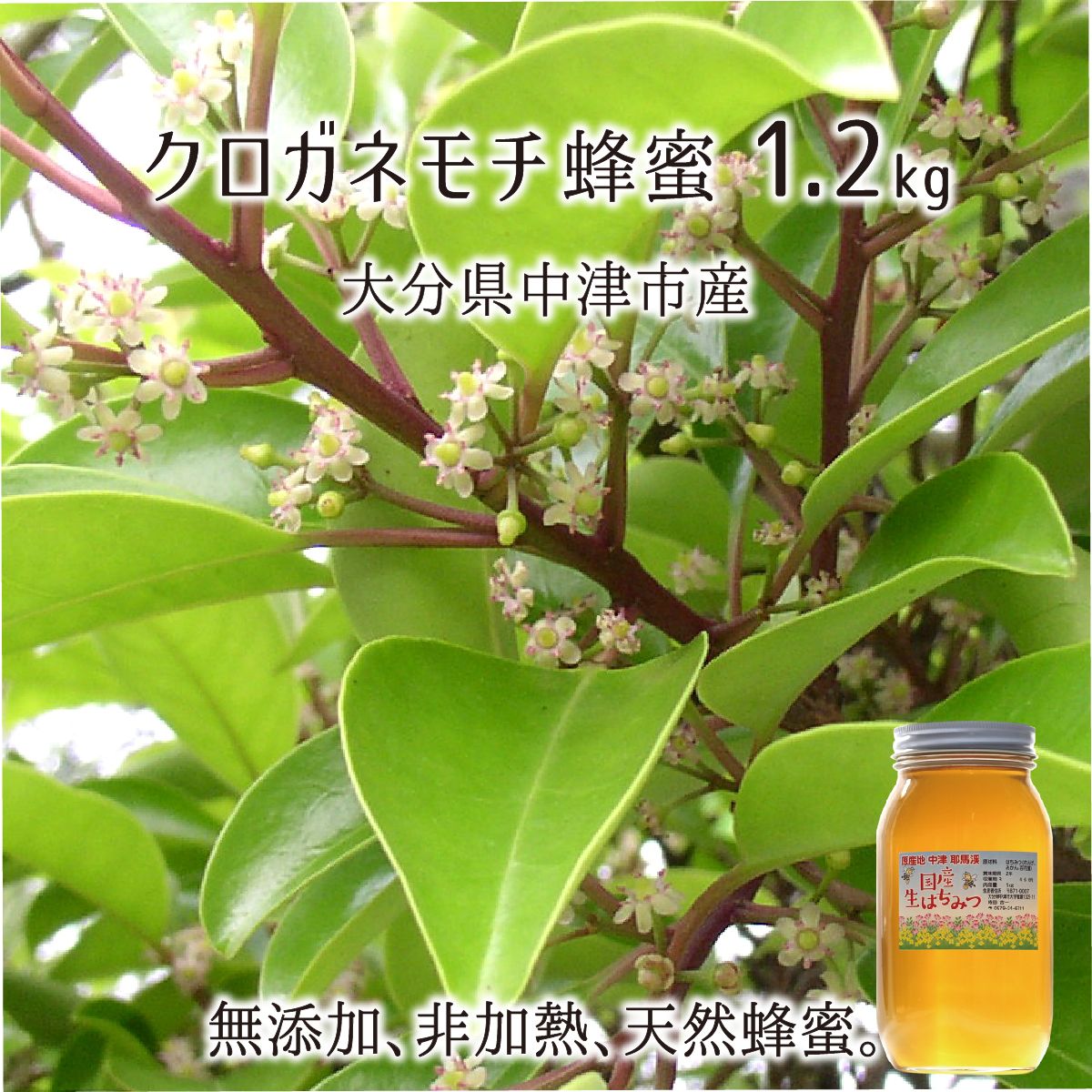楽天市場 クロガネモチ蜂蜜 糖度80度以上 無添加 非加熱 高純度 全原材料国産 天然 純粋蜂蜜 大分県中津市耶馬渓産 21年採蜜 1 2kg 送料無料 産直 むすび