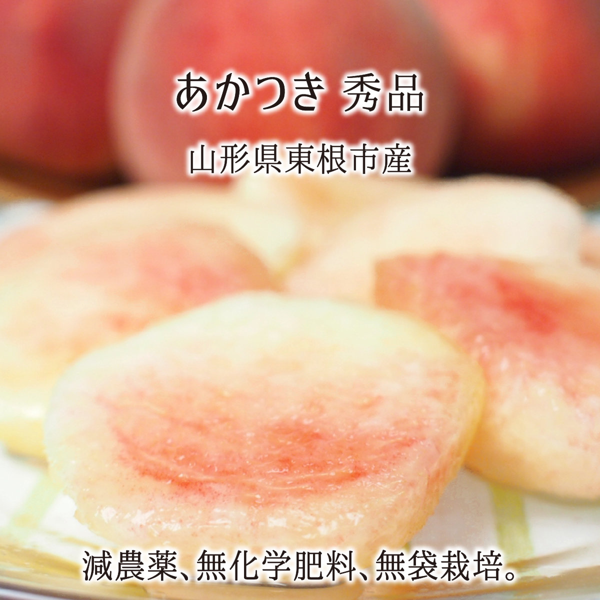 桃 あかつき 秀品 1.8kg 2.7kg 4.5kg 減農薬 無化学肥料 無袋 特別栽培 山形県東根市産 8月上旬～8月中旬 送料無料｜産直 むすび