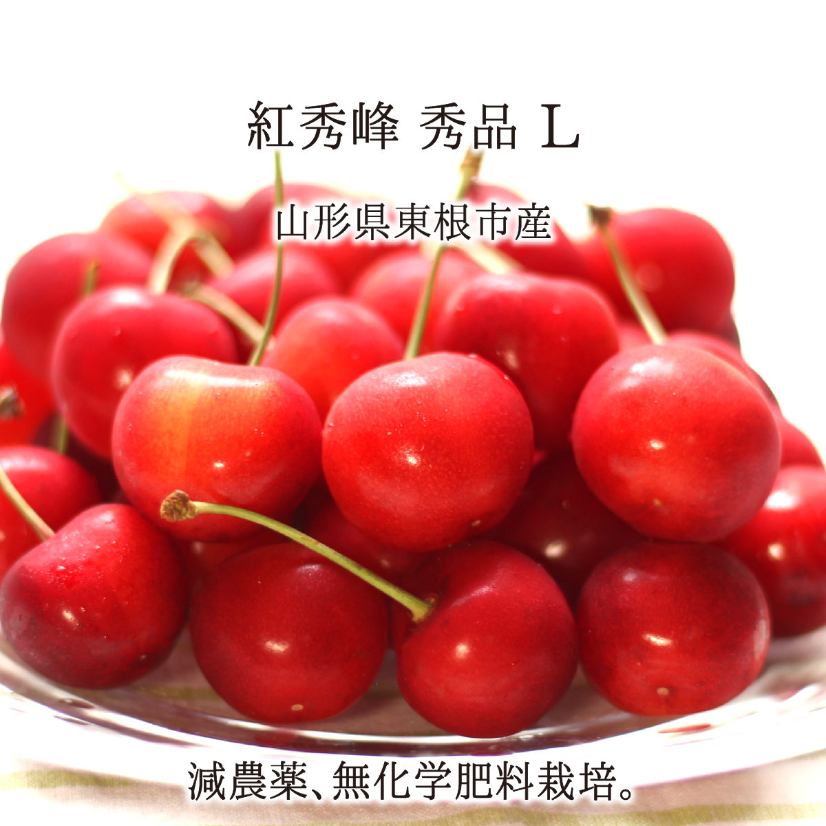 紅秀峰 秀品 L 350g 700g 1.4kg 特別栽培 さくらんぼ 山形県東根市産 減農薬 無化学肥料 6月下旬～7月上旬 送料無料