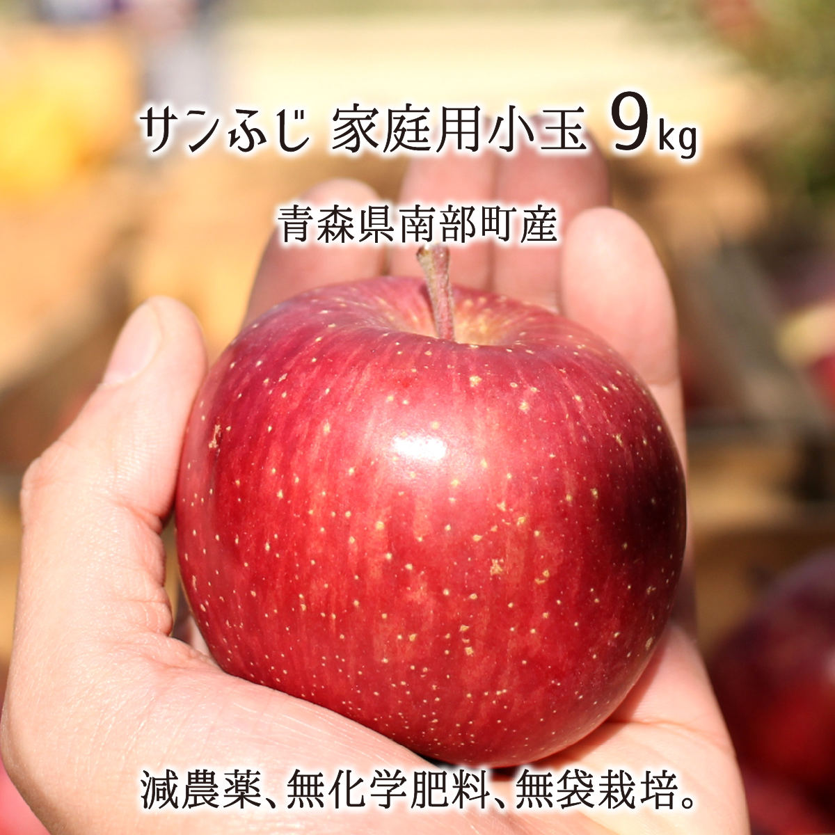 楽天市場】シナノスイート 秀品 中玉 3kg 減農薬 無化学肥料 青森県南部町産 りんご 贈答用 10〜11玉 10月下旬〜1月中旬 送料無料 :  産直 むすび