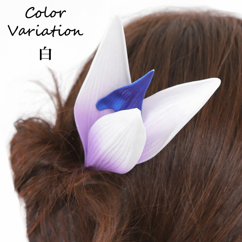 国内最安値 フラダンス ヘアピック ゴクラクチョウ バードオブパラダイス Whitesforracialequity Org