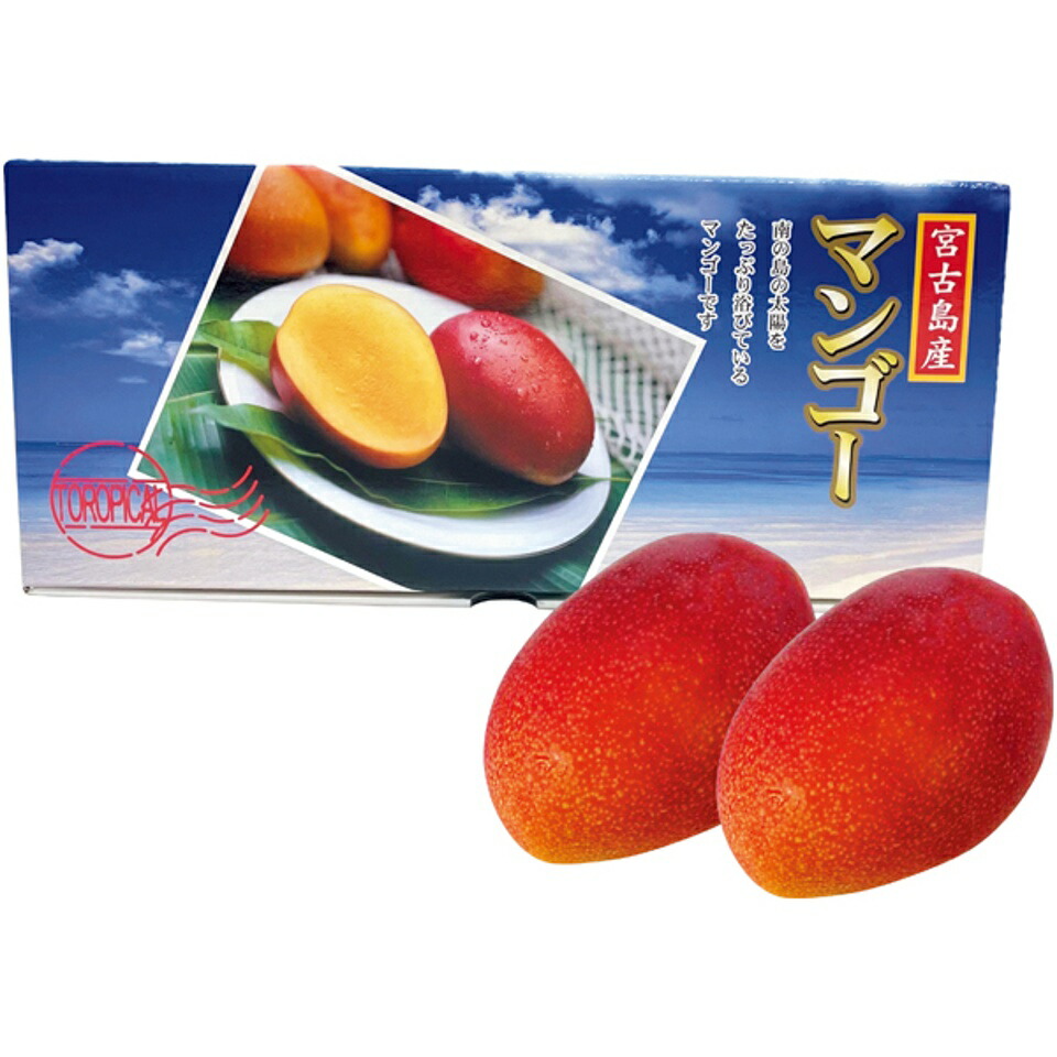 【夏の贈りもの】<br>沖縄県産（宮古島） アップルマンゴー