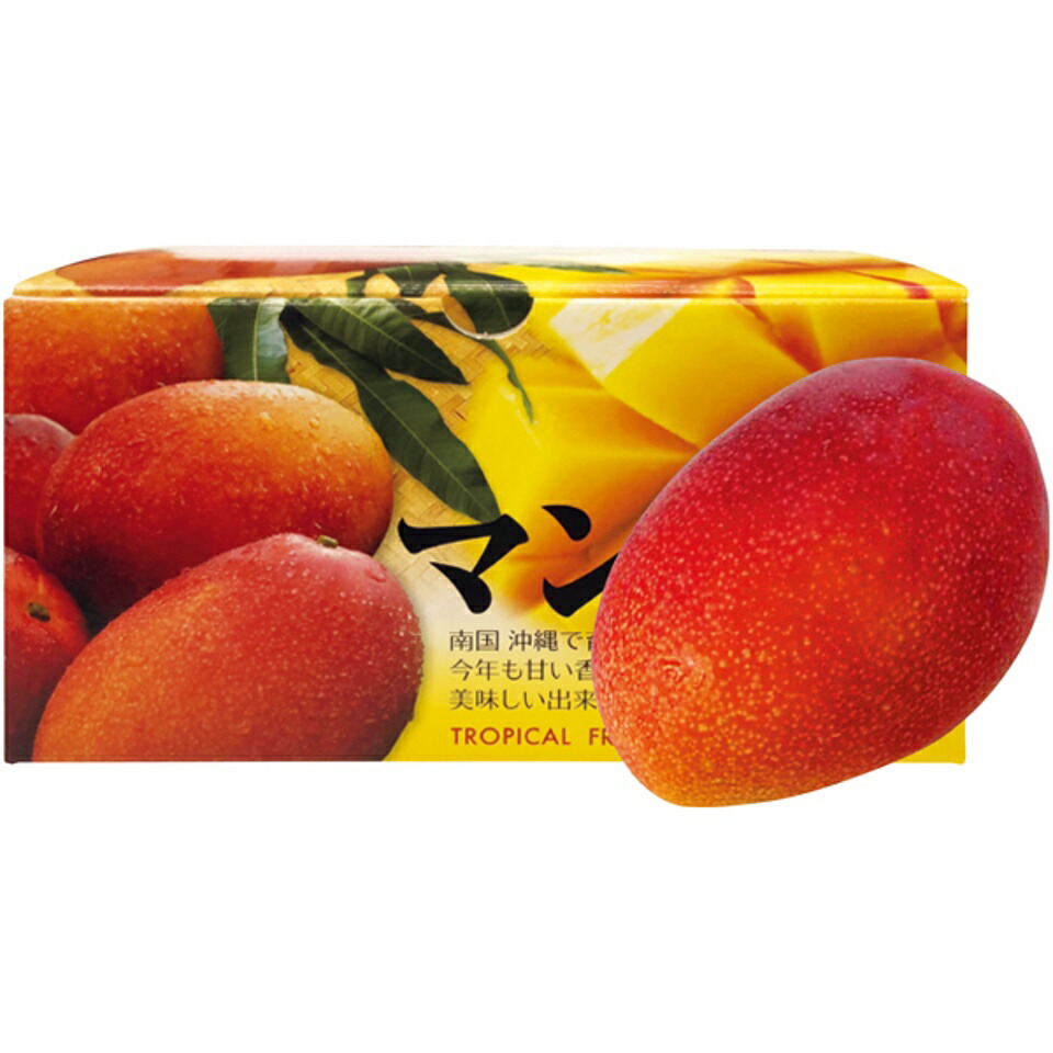【夏の贈りもの】<br>沖縄県産 アップルマンゴー