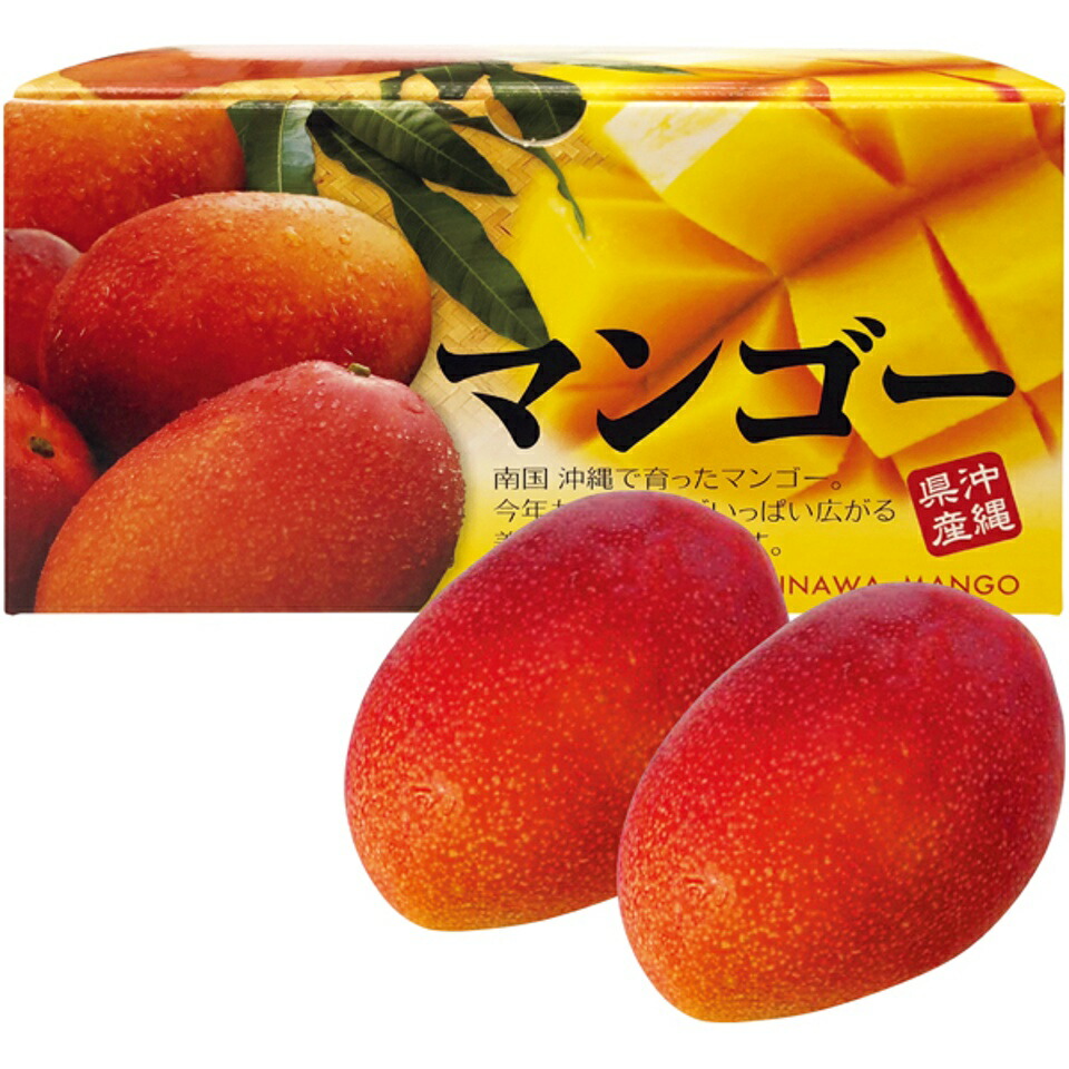 【夏の贈りもの】<br>沖縄県産 アップルマンゴー