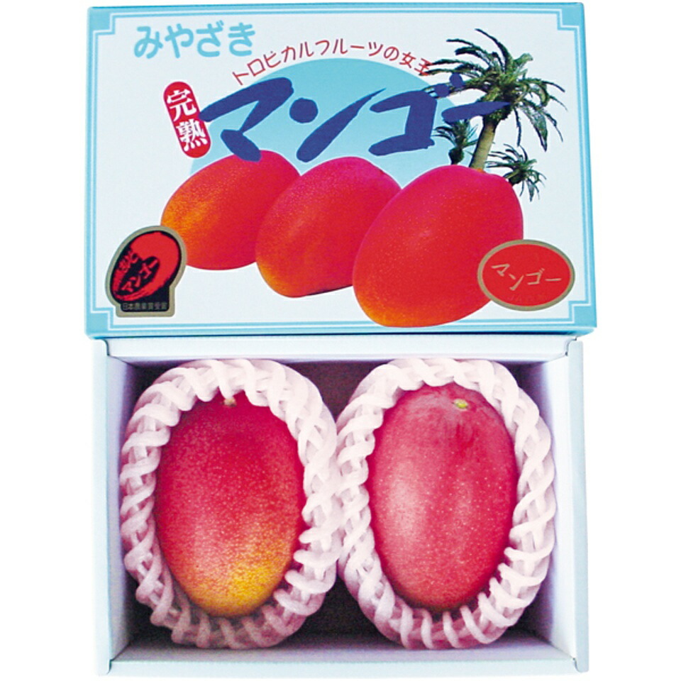 【夏の贈りもの】<br>宮崎県産（ＪＡ西都） 宮崎マンゴー 化粧箱