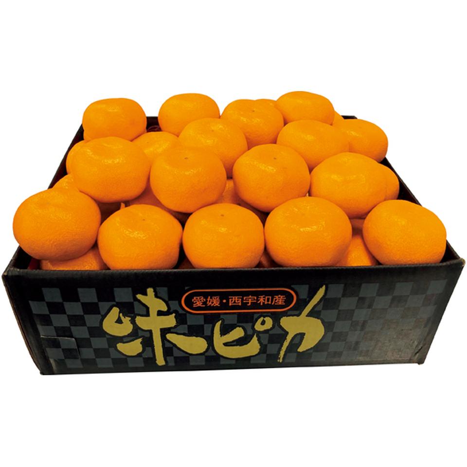楽天市場】小太郎みかん通販 愛媛県川上共選の味ピカ越冬みかん販売