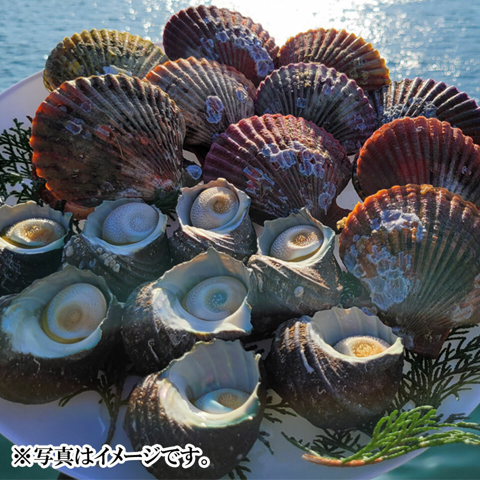 【伊勢志摩産直市場】 伊勢志摩産 海の幸詰め合わせ (3～4人分)
