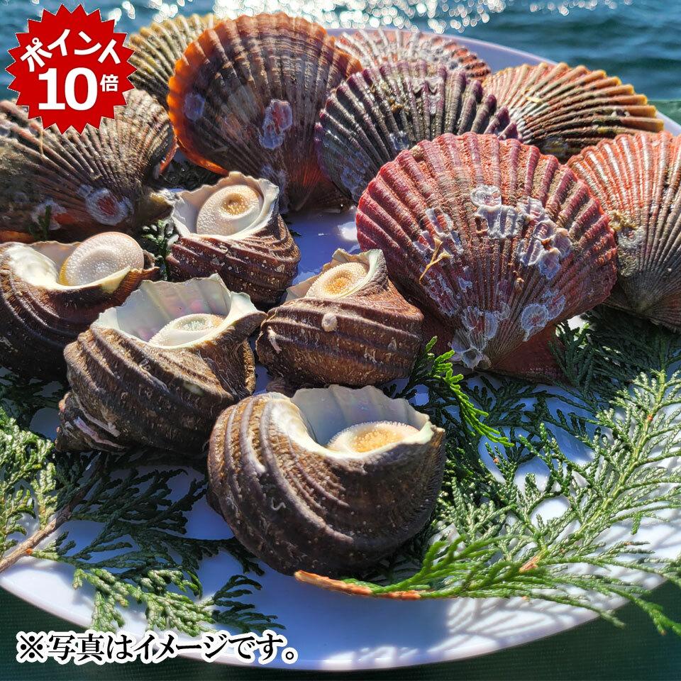 楽天市場】【スーパーSALE】瀬戸貝詰合せ 3kg : せとうちみなとマルシェ