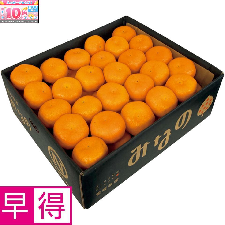 楽天市場】西浦みかん通販 JAなんすんブランド極早生みかん販売 お