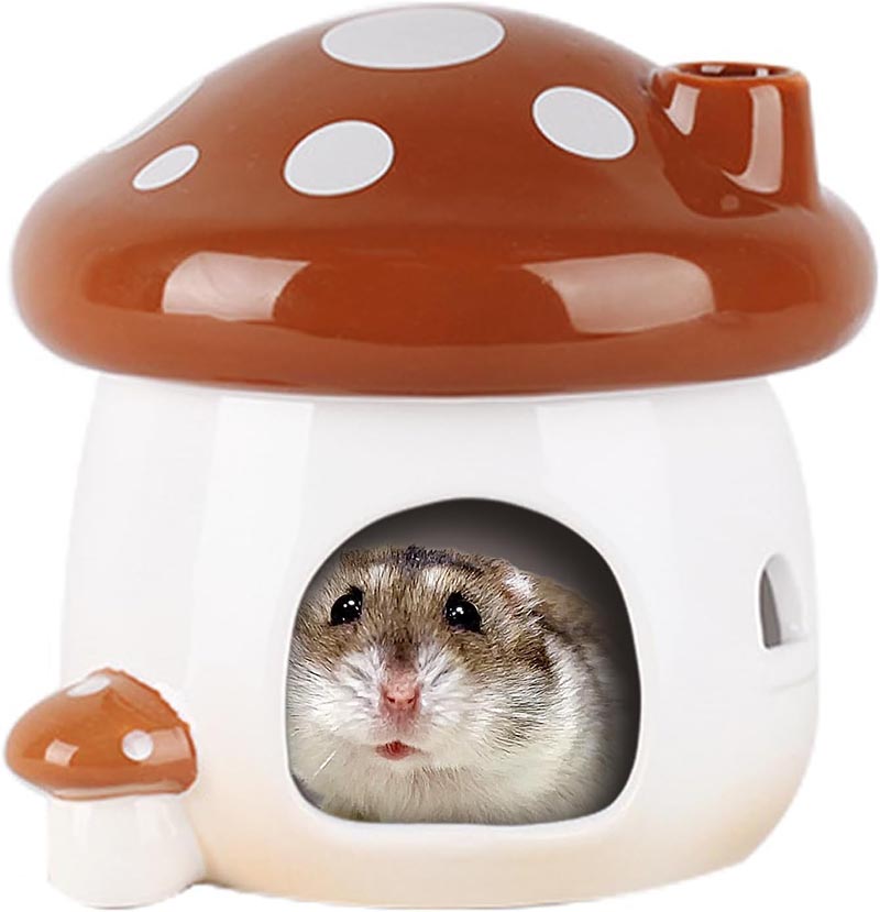 てん ハムスター　巣箱 楽天市場】ハムスター 巣箱 隠れ家 2色 家 陶器 キノコ型 ハウス