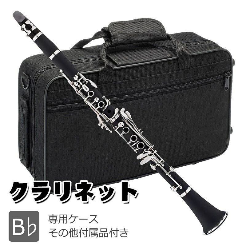 クラリネット 10リード付 練習 お手入れセット ケース付き 艶消し本体 17キー B? ソプラノ ABS樹脂製 リード 初心者入門 吹奏楽 小学生 高校生 大学生 ギフト 練習用 グリス