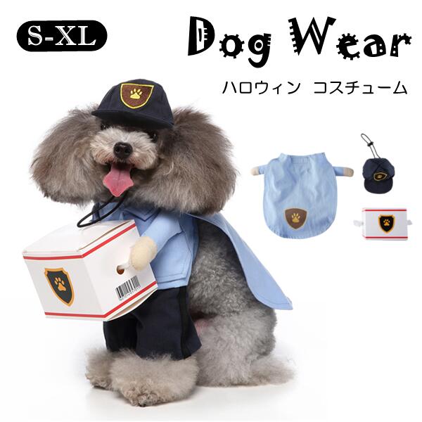 楽天市場】ハロウィンコスチューム ラグランTシャツ半袖犬 小型犬