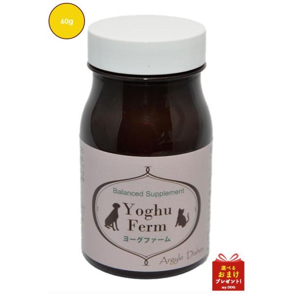 楽天市場】【10個セット】TOJIKI（トージキ）ウォーターパープル