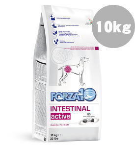 Forza10 インテスティナルアクティブ 胃 腸の健康維持食事療法食 中粒 １０ｋｇ 99 犬用品 ｍｙｄｏｇ店