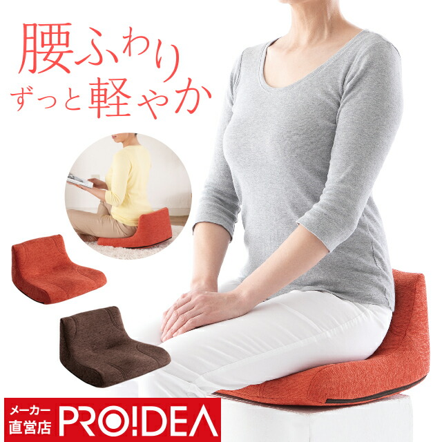 日本製 骨盤矯正 最大63％オフ！ 椅子 座椅子 腰痛 姿勢 骨盤 ゆがみ 矯正 グッズ オフィス イス 送料無料 プレゼント ギフト セール テレワーク フィット オッコス ぴったり ラボネッツ 在宅勤務 骨盤バランス