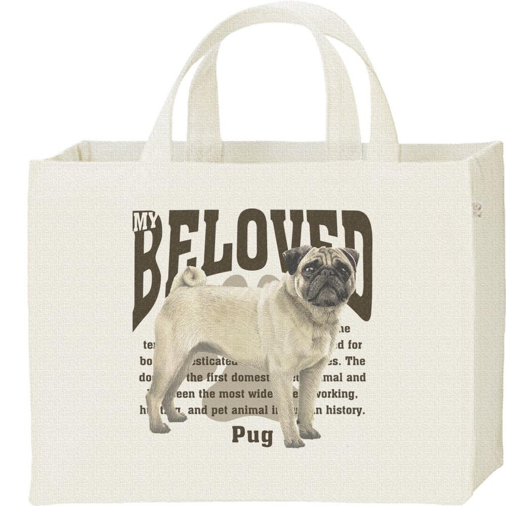 ライオンパグ(完全1点もの) 碧 on X