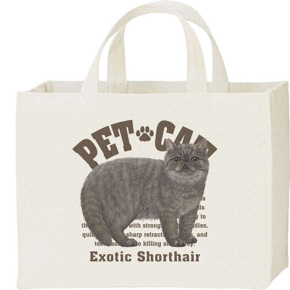 ショルダーバックを下げたエキゾチックショートヘアさん(グレー) ショルダーバックを下げたエキゾチックショートヘアさん(グレー