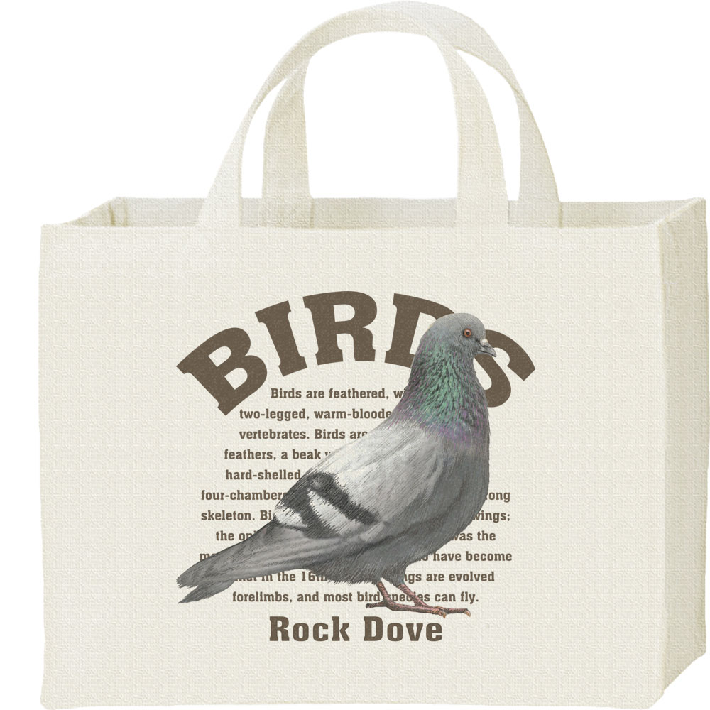 灰色のハト 389_c.jpg