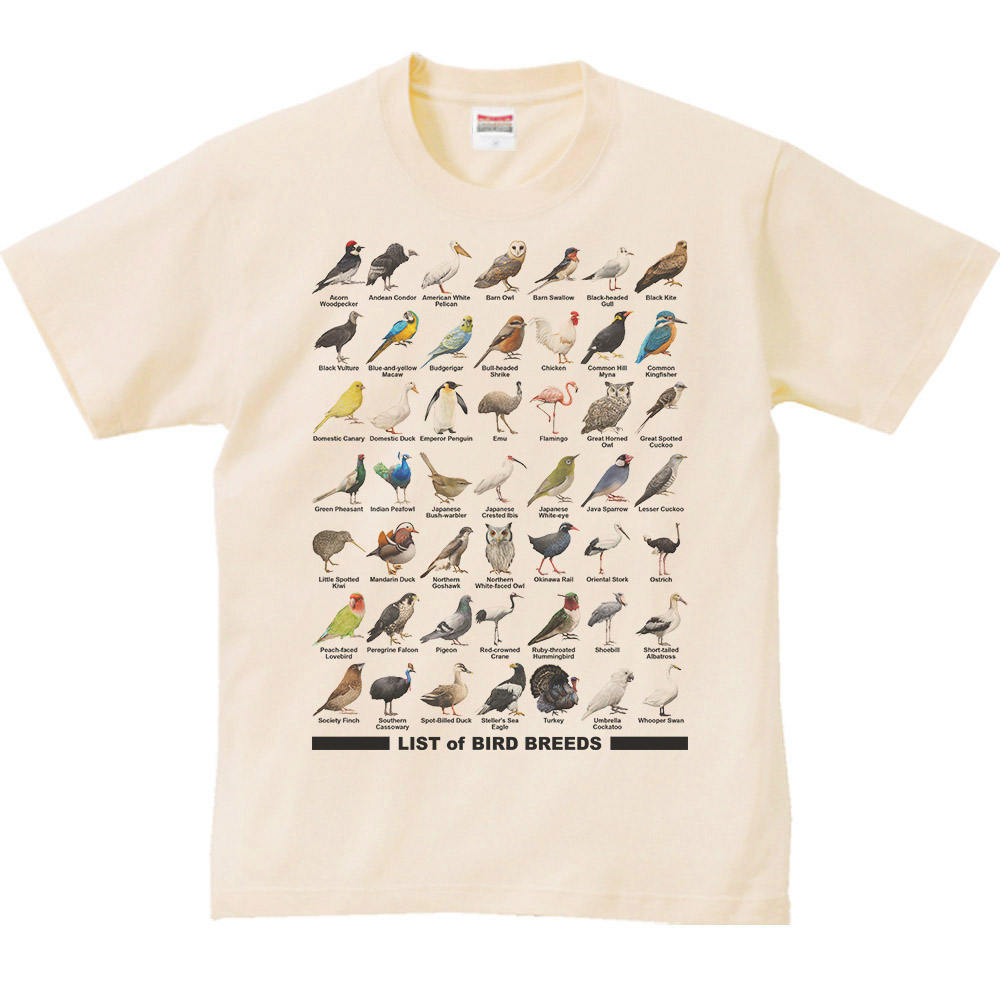 楽天市場】鳩（ハト）鳥シリーズ／半袖Ｔシャツ : MYDS 楽天市場店