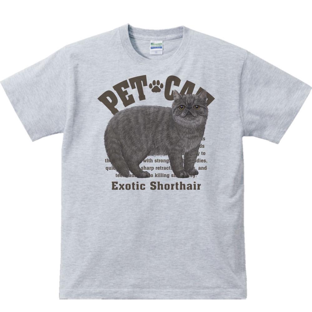 ショルダーバックを下げたエキゾチックショートヘアさん(グレー) エキゾチックショートヘア | STORES