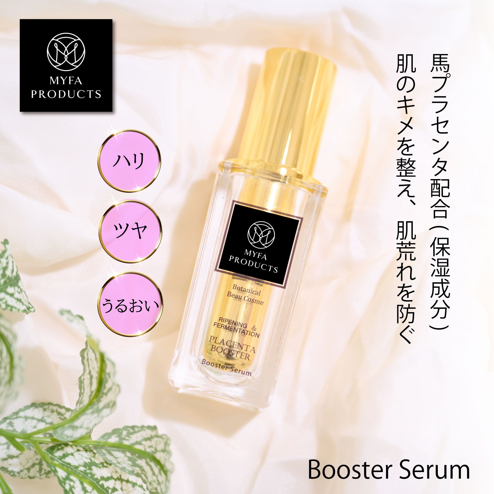 楽天市場】【500円OFFクーポン有＋P3倍 】オーガニック