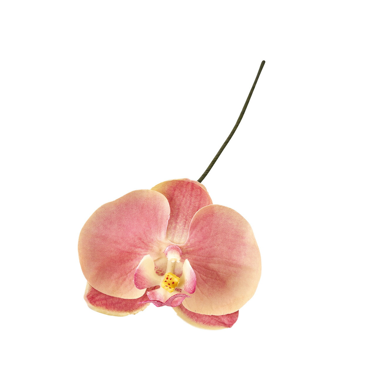 楽天市場】【東京堂 公式】 Winward 造花 花材 アミュゼファレノ