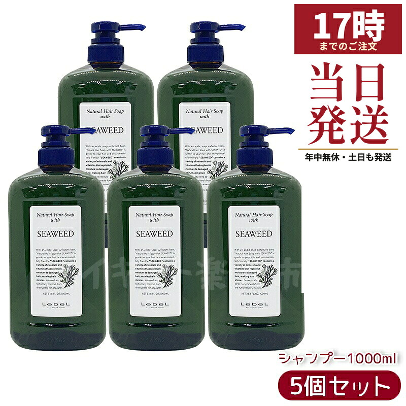 【5個仕掛ける】ルベル 自然的 髪の毛 石ケン ウィズ SW 1000ml