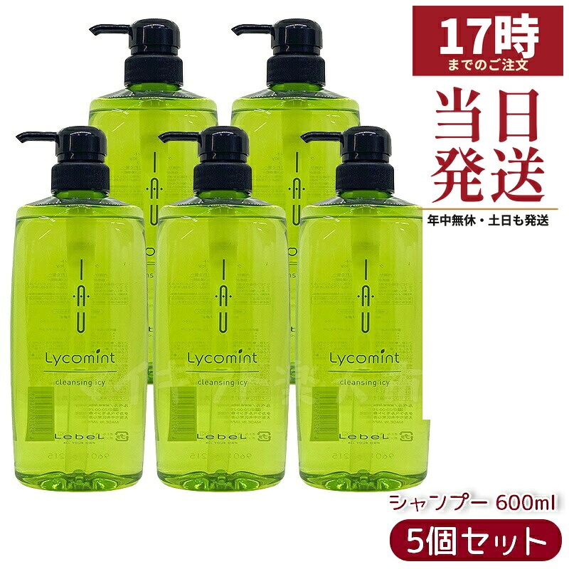 【5個仕掛ける】ルベル IAU イオリコミント 洗い濯ぎ icy 600ml