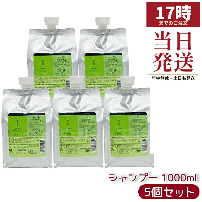 【5個セット】ルベル IAU イオリコミント クレンジング icy 1000ml｜マイギフト　店