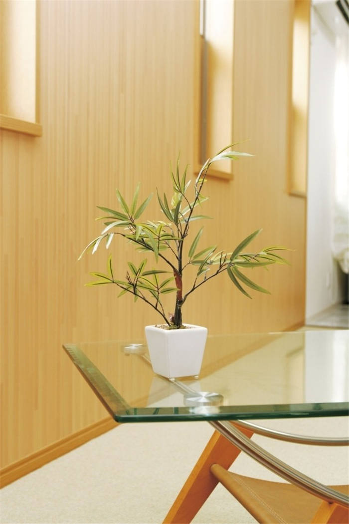 灯し火触媒 黒竹 光触媒 光触媒人工植物 造花 観葉植物 音物 人工観葉植物 人工パーゴラ 調度品 光の楽土 イタリアン雑貨 建立祭式 開店祝い 据え物 日本製 おすすめ 小粋 愛々しい ギフト プレゼント よい 評判 御目出度 生み出す 内祝い 付届 金婚式 Hotjobsafrica Org