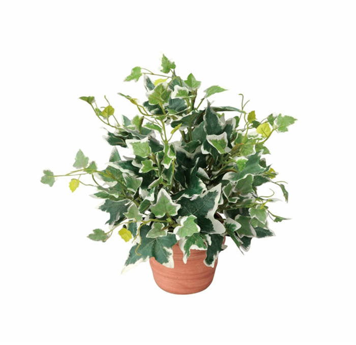 光触媒 ホーランドアイビー 25cm 光触媒 光触媒人工植物 造花 観葉植物 ギフト 人工観葉植物 人工樹木 光の楽園 イタリアン雑貨 新築祝い 開店祝い 飾り 日本製 おすすめ おしゃれ かわいい ギフト プレゼント 可愛い 人気 結婚 出産 内祝い 金婚式 Korkmazmauritius Com