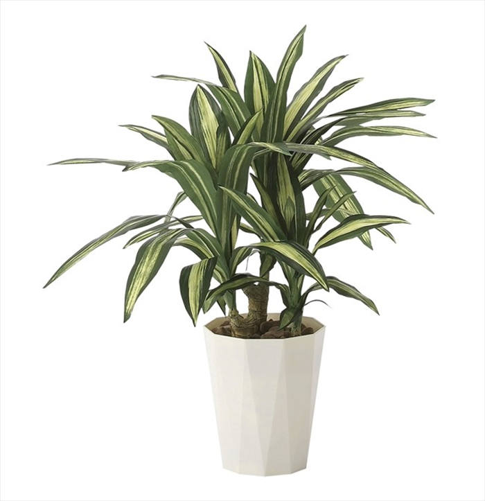 お礼 光触媒 法人 人工観葉植物 インテリアグリーン 観葉植物 ギフト アートグリーン プレゼント 人工観葉植物 出産 光触媒人工植物 光触媒人工植物 ギフト お返し 幸福の木70 光触媒 お祝い 人工観葉植物 開業 ギフト 造花 プレゼント 事務所移転 人工樹木 開店 観葉植物