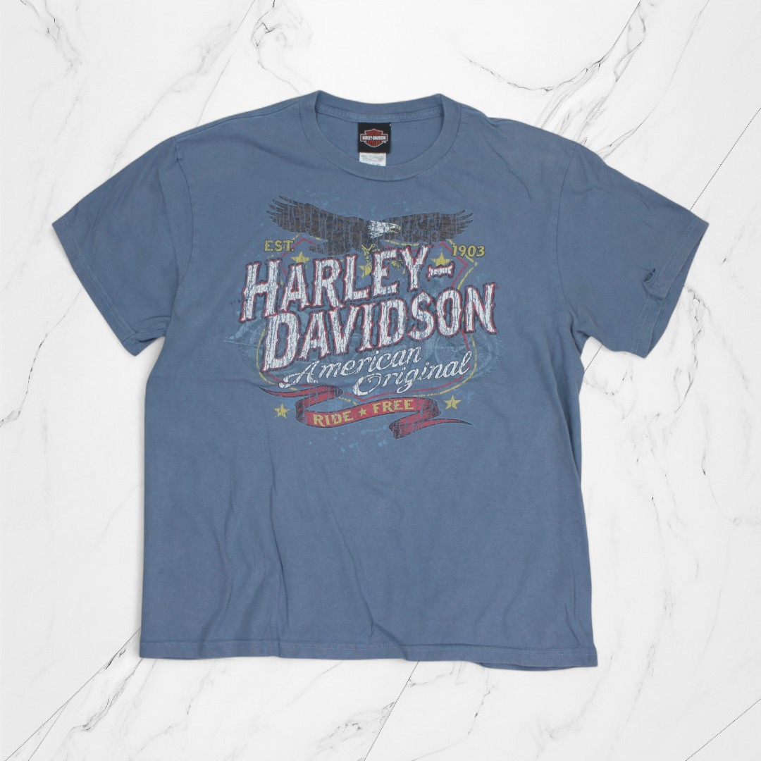 70’s チャンピオンHarley-Davidson フットボールTシャツ wmy061804y57da.jpg