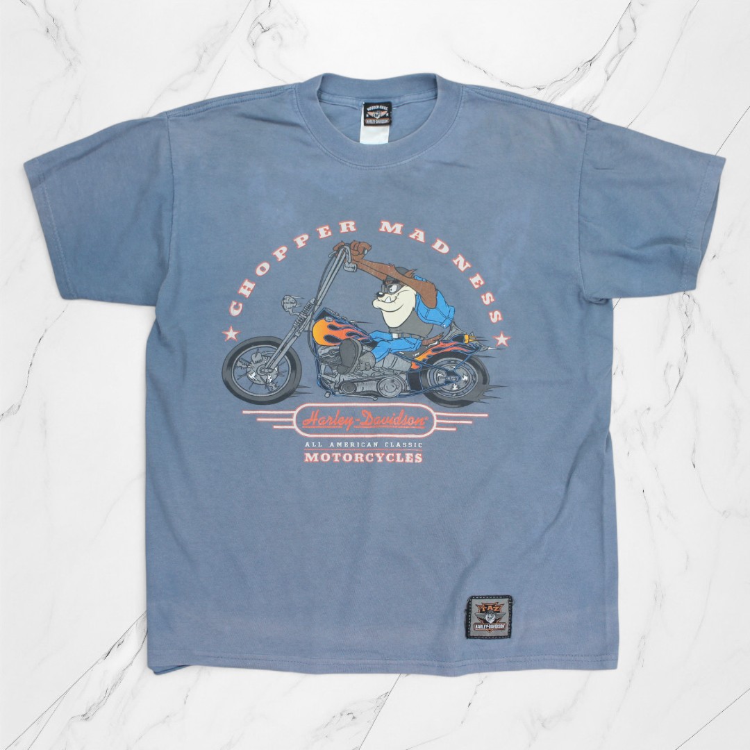 古着 ハーレーダビッドソン Harley Davidson WARNER BROS T-Shirts Washed Blue Tシャツ 半袖 【Vintage】