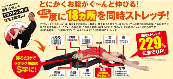 楽天市場 くびれ ストレッチ エスレッチングポール 兼子ただし 完全プロデュース 送料無料 ポイント10倍 マイラボ