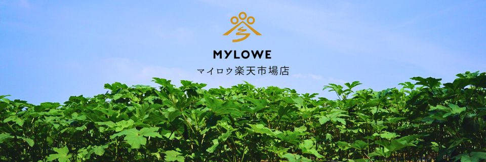 ޥŷԾŹȬɴλľڤѤإ륷ǤƥϤ