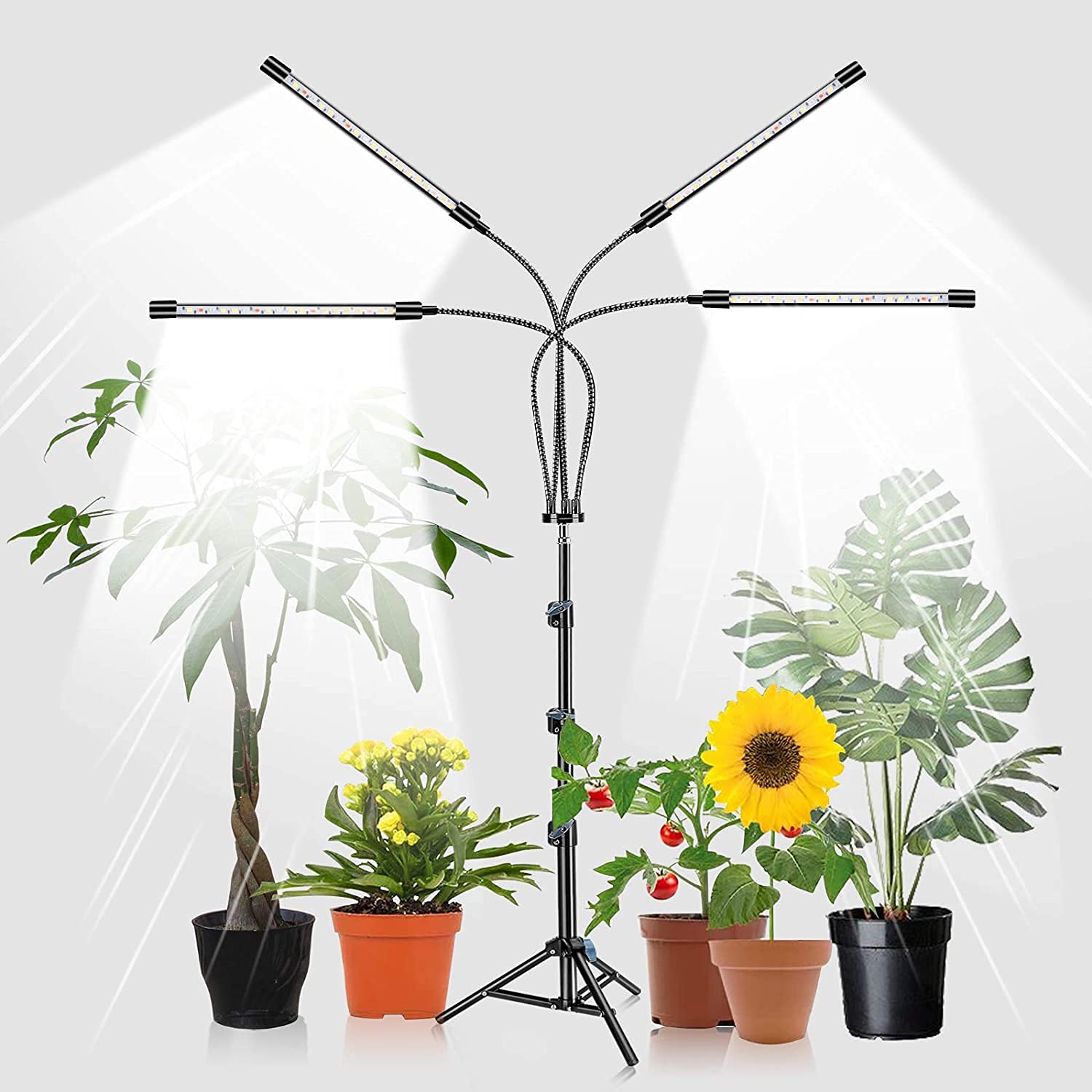 ライト、スタンド付き4ヘッドプラントライト、屋内プラント用の80W 80LED 5500Kフルスペクトルフロアプラントライト、9調光度、自動オン/オフタイマー、38～120 cmの三脚調整可能