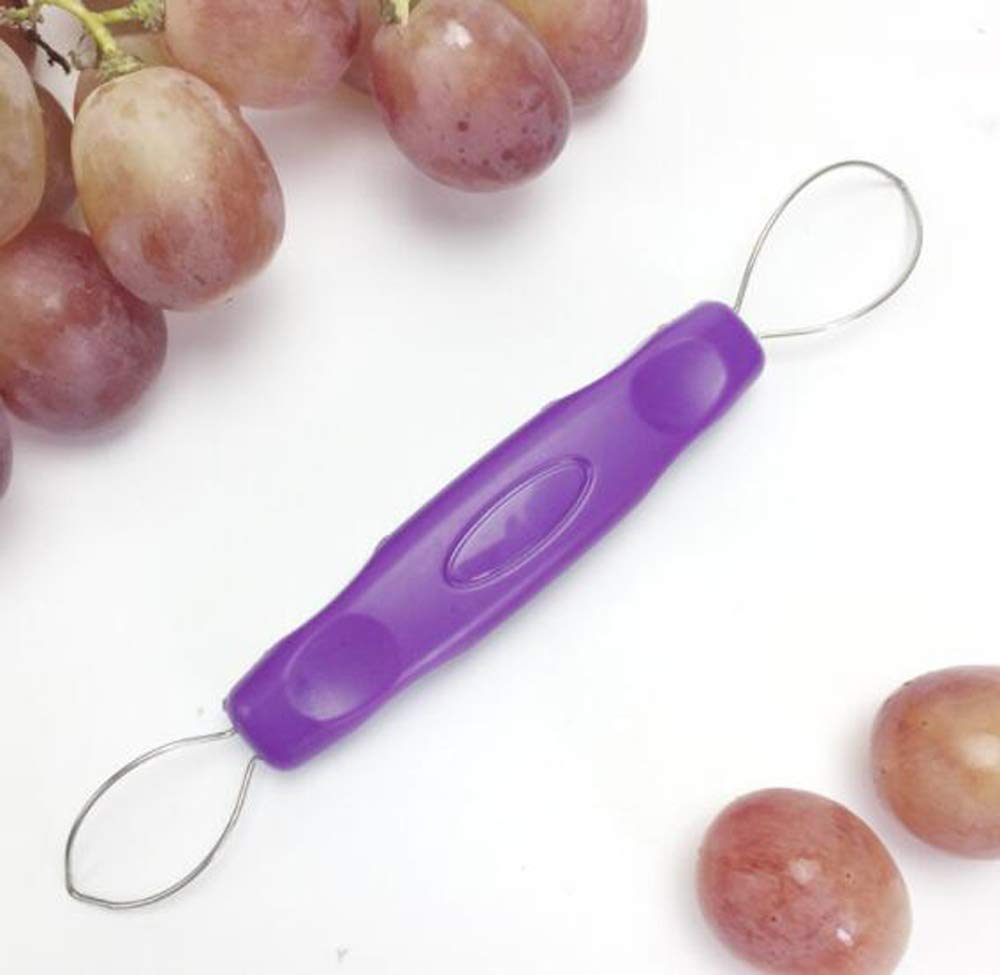 HJ ぶどう ピーラー 皮むき器 膳立て手道具 (2本書き割り)