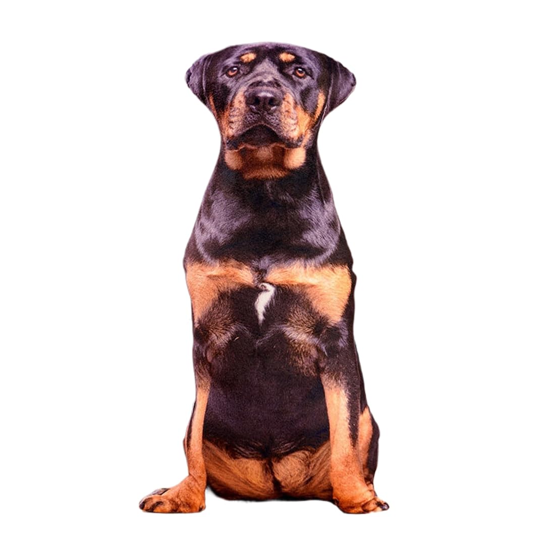 ぬいぐるみ 抱き枕 犬 好いたらしい 即物的 ふわふわ 洗える 癒し 面白可笑しい パステル色の 好いたらしい手当たり お部屋飾りつけ 差し上げ物 差し上げ物 生まれ落ちる日 表示