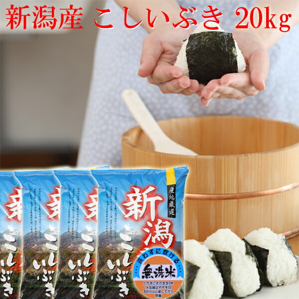 新潟産こしいぶき20kg 【公式通販】