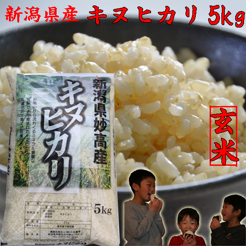 特価即納鴻魅様専用 お米　令和元年　愛媛県産キヌヒカリ　玄米　30㎏ 米/穀物