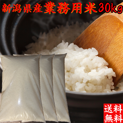 電気外祭り 2013 WINTER 染谷柚 くまさんコスプレ抱き枕カバー 電気外祭り 2013 WINTER 染谷柚 くまさんコスプレ抱き枕カバー