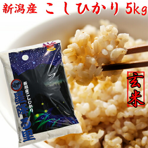 米 玄米5kg 令和6年産 新潟 こしひかり 米 5kg 玄米 5kg 新潟米 コシヒカリ 送料無料 新潟産 農家直送 プレゼント入り 新潟県産 お米 新潟米 5キロ 新潟県産 安いお米 お取り寄せ おいしいお米 美味しいお米