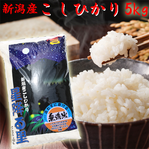 楽天市場】無洗米 10キロ 令和5年産 新潟産 コシヒカリ 10kg 送料無料