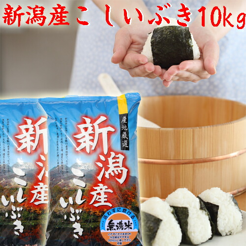 米 令和6年 新潟産 こしいぶき 10kg 送料無料 5kg×2袋 無洗米 10キロ 新潟米 こしいぶき 無洗米 新潟県産 米 こしいぶき10kg 令和6年産 新米10キロ 無洗米新米10キロ 無洗米10キロ 新潟直送 無洗米お米 安いお米 お取り寄せ おいしいお米 美味しいお米 新潟 新米の米
